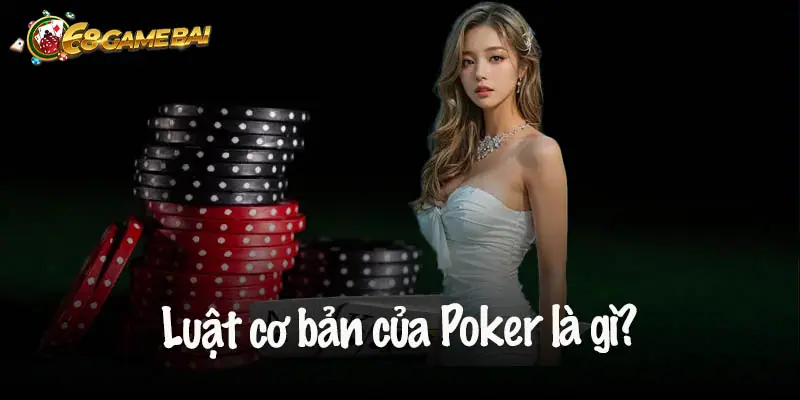 5. Tham Gia Giải Đấu Poker: Bước Tiến Lớn