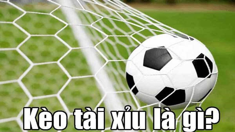 Kinh nghiệm chơi cá độ bóng đá kèo tài xỉu thắng lớn